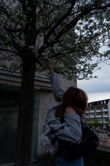 Junge Frau greift nach blühenden Zweigen eines Baumes.